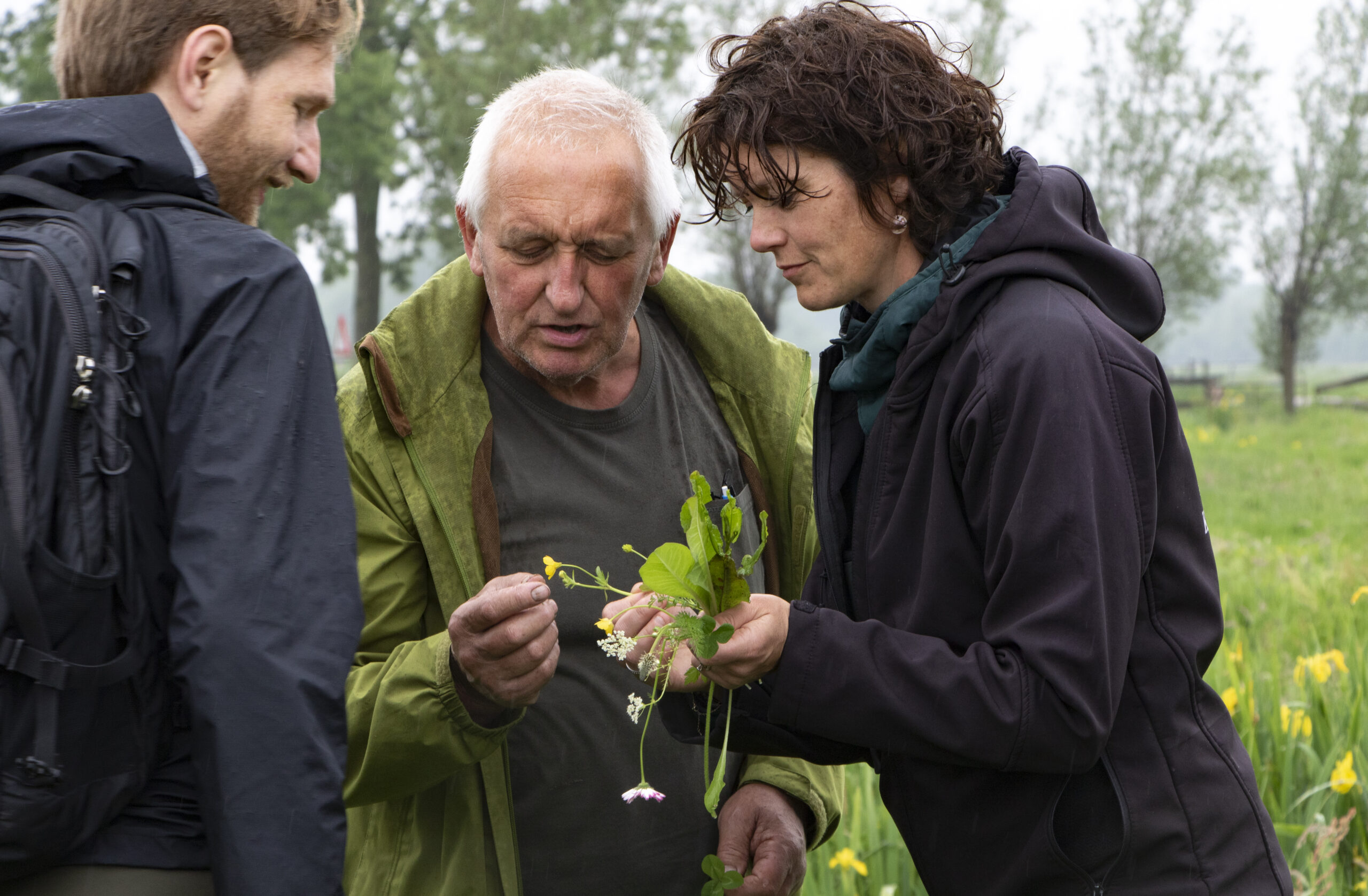 Beeld: BoerenNatuur - Kruiden determineren