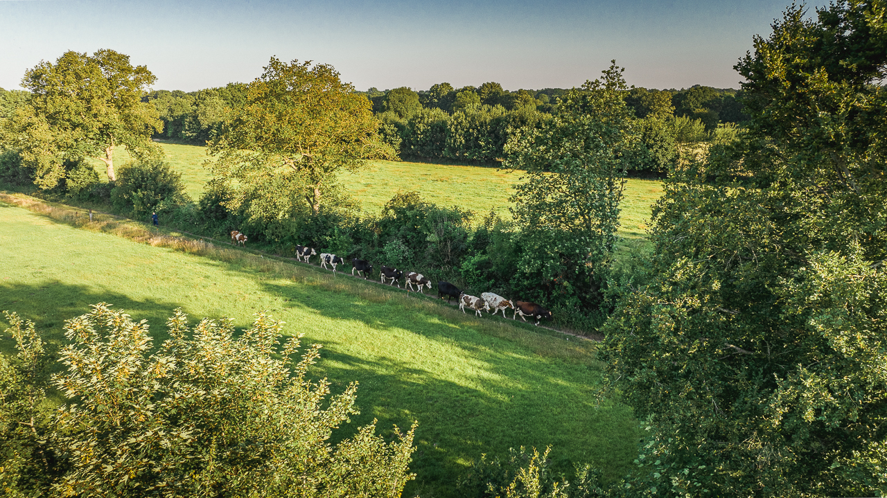 Het coulisselandschap van de Noardlike Fryske Wâlden. Foto: Binne-Louw Katsma.