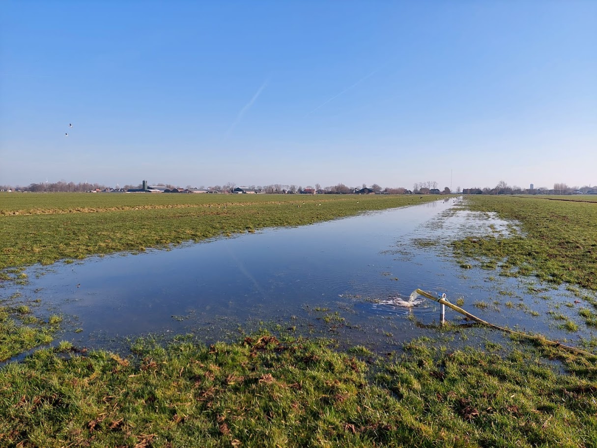 Een plasdras wordt gevuld in de Lopikerwaard (Bron: Collectief Lopikerwaard).