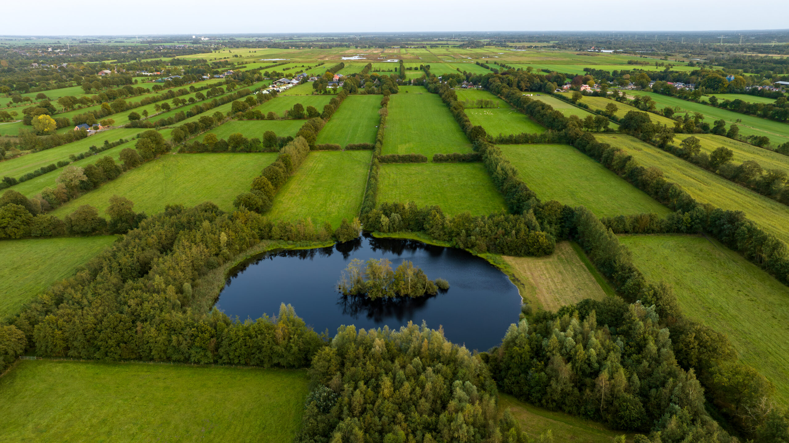 Het coulisselandschap van de Noardlike Fryske Wâlden. Foto: Binne-Louw Katsma.