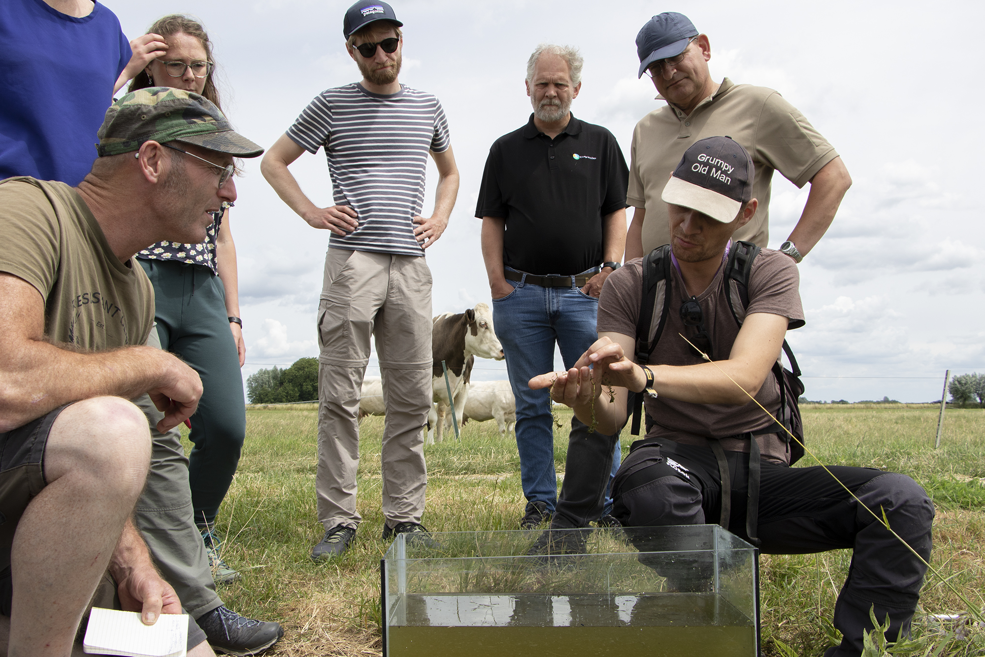 Beeld: BoerenNatuur waterleven determineren